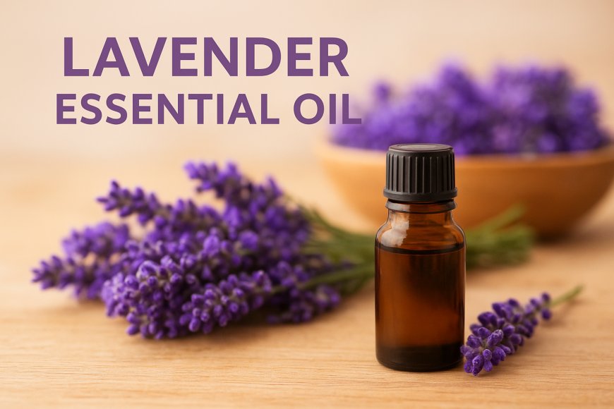 Lavender Essential Oil: A Timeless Elixir for Wellness and Relaxation