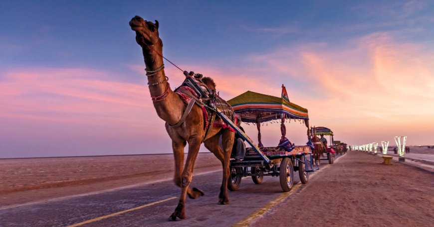 Why Your Next Holiday Should Be a Gujarat Trip