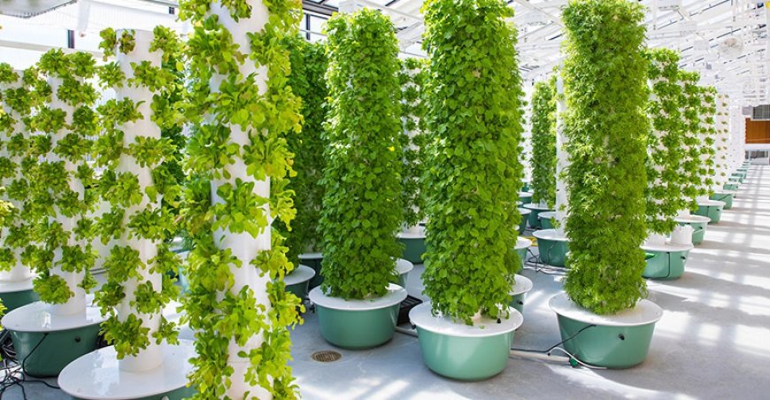 Your Ultimate Guide to Starting an Aeroponic Tower Garden at Home