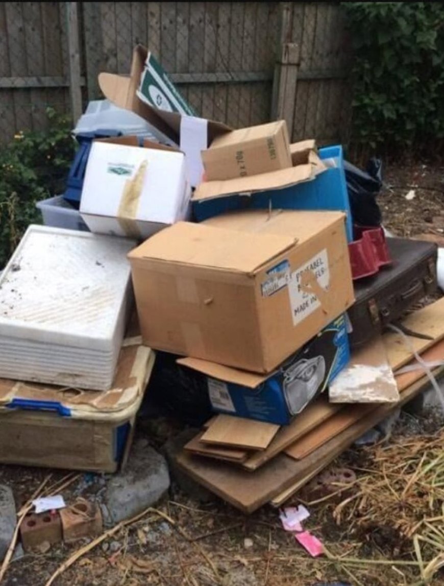 A Complete Guide to Hassle-Free and Eco-Friendly Waste Disposal