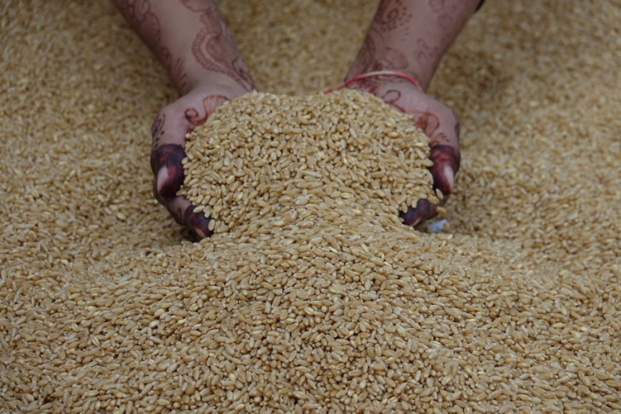 Muskan Overseas: Trusted Indian Rice Exporters