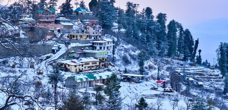 Make Memories with Our Romantic Shimla Honeymoon Package