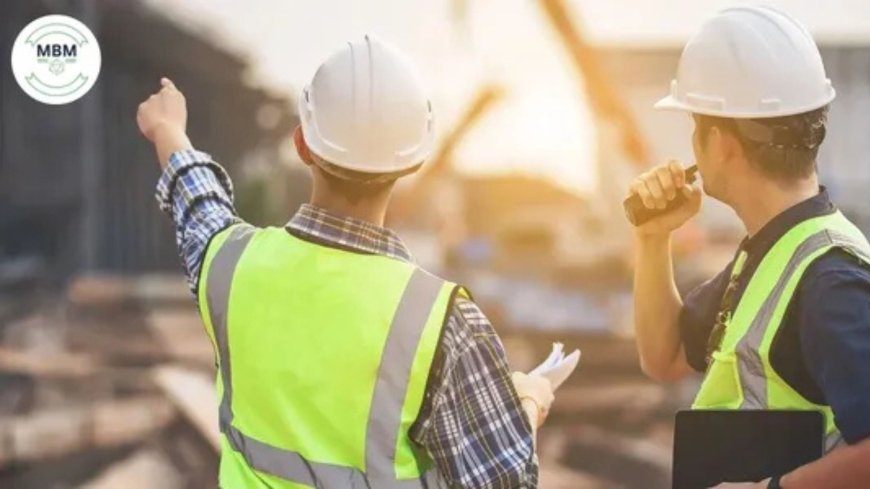 Seeing the Whole Picture: My Experience Working with a Structural Analysis Expert