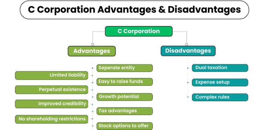 How Can C-Corporation Tax Preparation Help Businesses Stay Compliant?