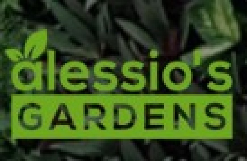 Sophisticated Poolside Greenery That Blends Beauty with Lasting Functionality