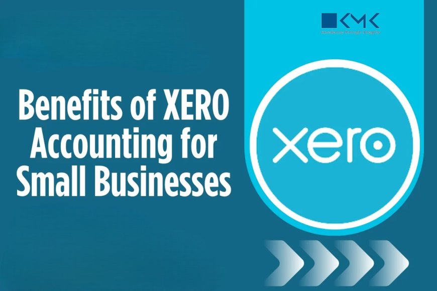 How Outsourcing Accounts Payable on Xero Supports US Business Growth