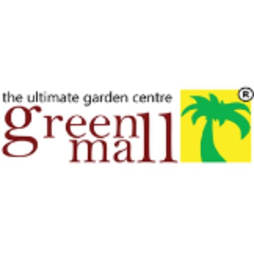 Wholesale Plant Suppliers: The Best Source for Quality Plants in Bulk