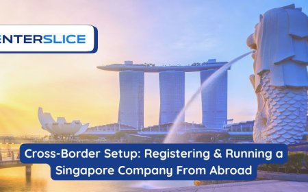 Cross-Border Setup: Registering & Running a Singapore Company From Abroad