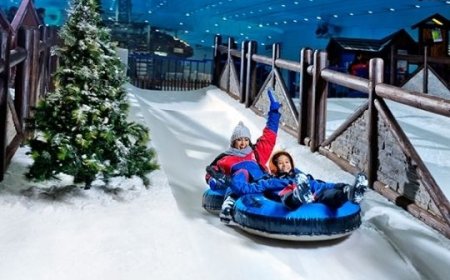 Ski Dubai: Snowy Escapades in the Heart of the Desert