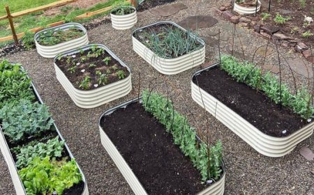 Greenhouses For Sale