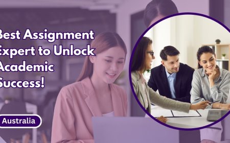 Best Assignment Expert for Comprehensive Writing Solutions!
