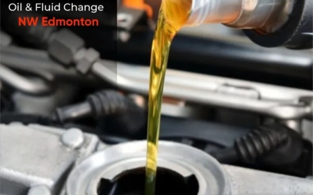 Oil & Fluid Change NW Edmonton | Quick & Reliable Service – Primo Auto Care