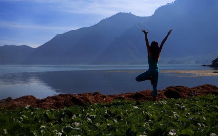 Understanding the Process of Private Energy Healing Sessions