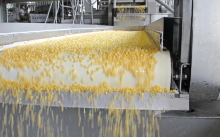 HACCP Certification in UAE – Building Trust in Food Safety