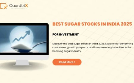 Best Sugar Stocks to Watch in 2025 | Quanttrix