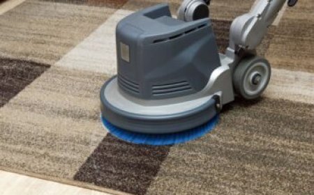 Why Carpet Cleaning is Key to Better Indoor Air Quality