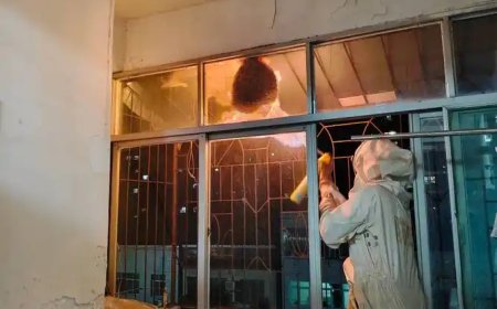 殺蟲水如何安全使用？家庭與寵物適用的選擇指南