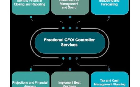 What Sets a Controller Apart from an Accounting Manager in the US?