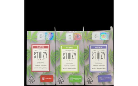 A Beginner’s Guide to Maryland Cannabis Delivery Services