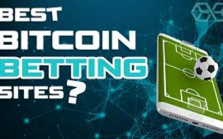 Best European Betting Sites for UK Punters in 2025: What You Should Know