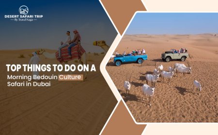Top Things To Do On A Morning Bedouin Culture Safari In Dubai
