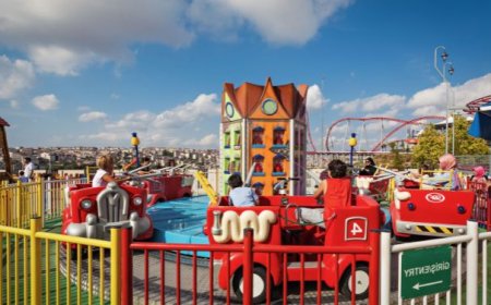 Shuttle from Disneyland to CDG – Easy, Reliable & Comfortable Transfers