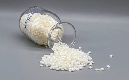 Polybutylene Adipate Terephthalate Manufacturing Plant 2025: A Comprehensive Cost Analysis of Materials, Equipment, and Technology