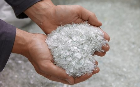 Report on Recycled PET Manufacturing Plant: Raw Material Requirements, Costs and Revenue