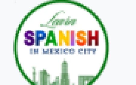 Learn Spanish in Mexico City: A Cultural Experience