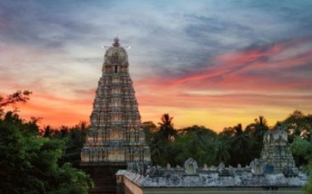 Chennai to cmc Vellore Taxi Fare