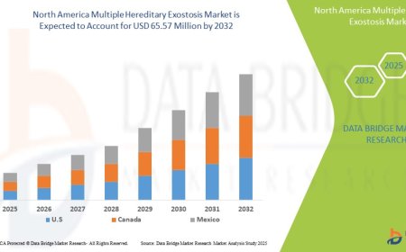 North America Multiple Hereditary Exostosis Market Size, Share, and Trends Analysis Report – Industry Overview and Forecast to 2032