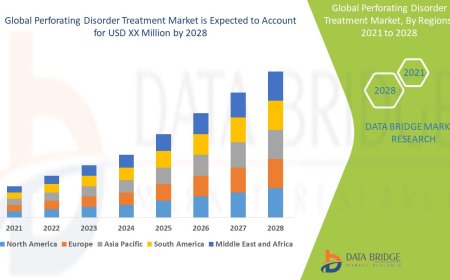 Global Perforating Disorder Treatment Market