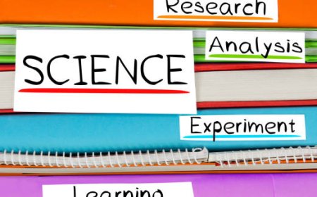 What Sets Top Coursework Writing Companies Apart