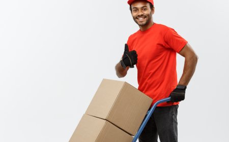 Masagaia: Leading Cargo Company in India Offering Reliable Cargo Services in India