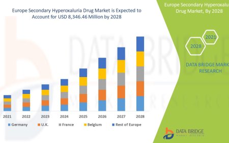Europe Secondary Hyperoxaluria Drug Market – Industry Trends and Forecast to 2028