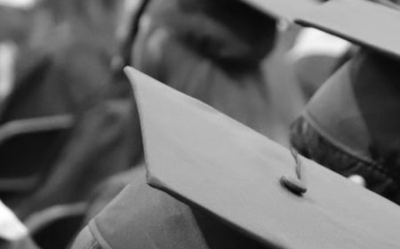 Ghid complet despre cele mai bune site uri pentru licență – Ce trebuie să știi înainte de a cumpăra