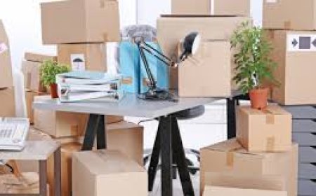 Why Hiring Professional Movers and Packers in Dubai Saves Time and Money