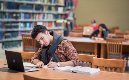 Commercial Law Assignment Help: Your Key to Academic Success