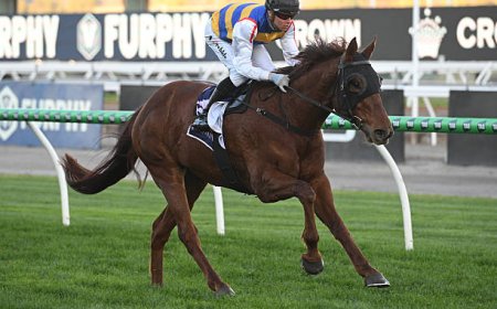 A Comprehensive Guide to the Best Aussie Betting Sites