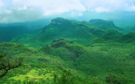 Pachmarhi Taxi Service