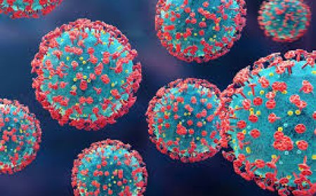 Bacterial vs. Viral Infections: The Differences Explained