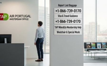 How to Reach TAP Air Portugal Amsterdam Office in Netherlands +1.866.739.0170