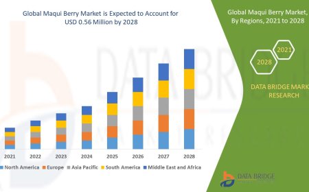 Global Maqui Berry Market – Industry Trends and Forecast to 2028
