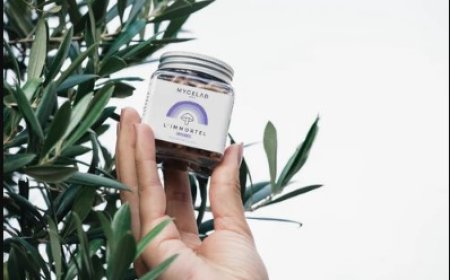 Les bienfaits du cassis : une riche source d'antioxydants naturels