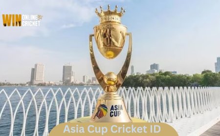 Get Your Online Cricket Bet ID With Win Online Cricket Bet