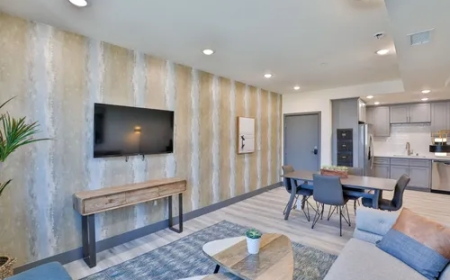 Find Modern Comfort in Apartments Hollywood
