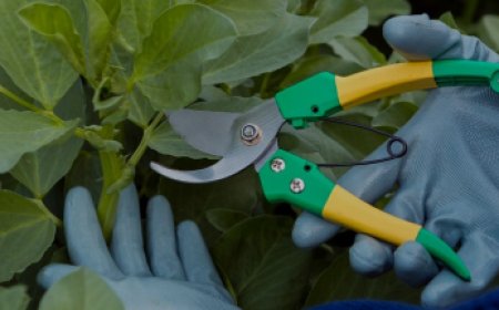 Landscaping Trends for Toronto Commercial Spaces in 2025