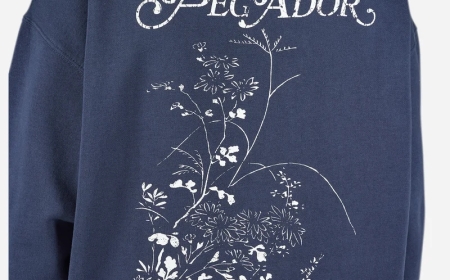 "Pegador Hoodie – Streetwear Comfort with a Bold Edge"