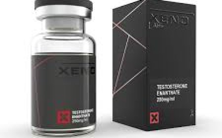 How Can I Buy Steroids?