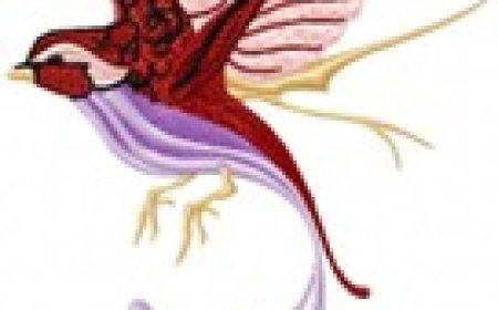 Ready to Buy Elegant Birds Embroidery Designs for Your Following Project?